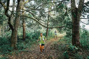 BIB: 
                            <button type="button" onclick="openModal(25665274)" class="btn btn-primary btn-sm float-right btn-popup" data-toggle="modal" data-target=".modal-high-quality">
                        <i class="fas fa-shopping-cart"></i> Add to Cart
                    </button>
                                            <button type="button" onclick="isThisMe(25665274, true)" class="btn btn-success btn-sm float-right btn-popup btn-isme hidden" data-toggle="tooltip" data-placement="bottom" title="นี่คือรูปของคุณใช่ไหม คลิกที่นี่เพื่อเอาเข้าอัลบั้ม">
                        <i class="fas fa-plus"></i> Add to album
                    </button>
                    <button type="button" onclick="isThisMe(25665274, false)" class="btn btn-warning btn-sm float-right btn-popup btn-isnotme hidden">
                        <i class="fas fa-ban"></i> Remove from album
                    </button>